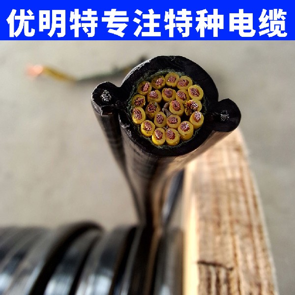 RVV2G電纜,KVVRC電纜,電動葫蘆電纜